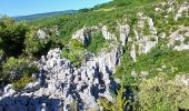 Trail Walking Oppedette - 84-gorges_oppedette_7km240m - Photo 5