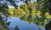 Tour Wandern Pinsaguel - PINSAGUEL : sentier de la Confluence (24.08.2023) - Photo 4