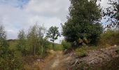 Excursión Senderismo Dison - Andrimont - Verviers  - Photo 11