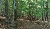 Tocht Stappen Le Castellard-Mélan - Le Castellard/Tour de la Roche des brigands  - Photo 6