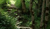 Trail Walking Le Saix - Le Fai - Lac de Peyssier - Photo 14
