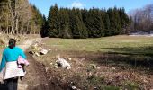 Randonnée Marche Montaud - La dent de Moirans - Photo 18