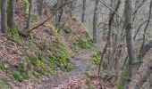 Randonnée Marche Stoumont - stpumont - froudcour aller via sentier corniche retour le long de l ambleve - Photo 9