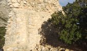 Trail Walking Saint-Antonin-sur-Bayon - Pas du Clapier  - Photo 17