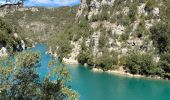 Excursión Senderismo Montmeyan - Basses gorges du verdon  - Photo 5