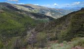 Tocht Stappen Bayons - chemin du lac des Monges au sommet - Photo 12