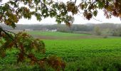 Tour Wandern Bergen - Marche Adeps à Saint-Symphorien - Photo 3