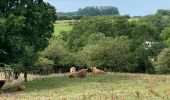 Randonnée Marche Havelange - Porcheresse  - Photo 7