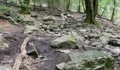 Trail Walking Jalhay -  Boucle de Charneux 17 Km  - Photo 14