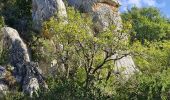 Excursión Senderismo Vinon-sur-Verdon - vinon1 - Photo 1