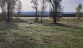 Trail Walking Jablines - jablines secret - Photo 4
