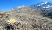 Tour Wandern Le Vernet - 20190328_Le Vernet_Circuit des trois cabanes - Photo 6