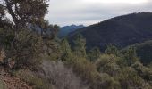 Tour Wandern Fréjus - mont vinaigre - Photo 7