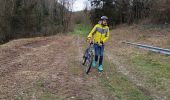 Trail Mountain bike Vinay - Vinay-Serre de TrellinsPlaine-Pont de Treillins - Photo 1