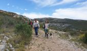 Trail Walking Marseille - Collines de Pagnol  - Photo 3