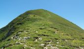 Tour Wandern Saint-Julien-en-Beauchêne - Chamousset (Lus-La-Croix-Haute) - Photo 7