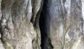 Trail Walking Plan-d'Aups-Sainte-Baume - Sainte baume grotte des oeufs et notre dame des adieux - Photo 4