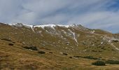 Percorso A piedi Gemeinde Reichenau an der Rax - Weichtalhaus - Kientalerhütte - Edelweißhütte (Schneeberg) - Photo 8