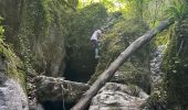 Trail Walking Plan-de-Baix - Canyon des Gueulards   - Photo 7