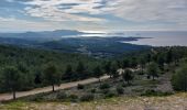 Tocht Stappen Le Castellet - gros  cerveau  par GR 51 depuis l'ouest  - Photo 5