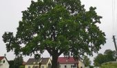 Randonnée A pied Byhleguhre-Byhlen - Wanderweg Byhleguhrer See-Byhleguhre-Bismarkturm-Burg - Photo 2