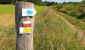 Trail Walking Meix-devant-Virton - Gerouville 1 - Photo 4