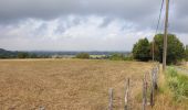 Tocht Elektrische fiets Ronse - Parcours 1/2 - Similaire au Fiertel (environ) - Photo 16