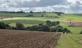 Randonnée Marche Assesse - Sart Bernard 22,6 km - Photo 9