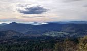 Trail Horseback riding Gresswiller - 2022-11-06 Picnic CVA Neuntelstein - Photo 3