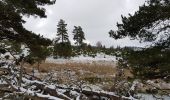 Randonnée Marche Peyre en Aubrac - Aumont Aubrac / Le Py auberge les gentianes  - Photo 6