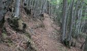 Trail Walking Prats-de-Mollo-la-Preste - col du miracle a pratiquement de mollo - Photo 12