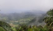 Excursión Senderismo Le Morne-Vert - Montjoly - Les pitons du Carbet - Photo 7