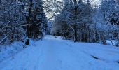 Tour Wandern Stablo - A la découverte de Hockai 🥾 - Photo 17