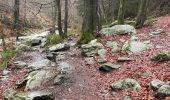 Tour Zu Fuß Jalhay - Jalhay ,pont de Bell heid 6 Km - Photo 6