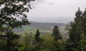 Randonnée Marche Saint-Dié-des-Vosges - Balade autour du Col de la Crenée - Photo 2