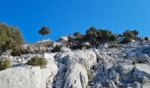 Tour Wandern La Valette-du-Var - coudon sud et crête ouest - Photo 10