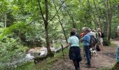 Trail Walking Rochefort - Han-sÃ»r-Lesse - Photo 4