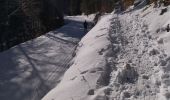 Tocht Stappen Saint-Martin-en-Vercors - 26 tourtre zels - Photo 6