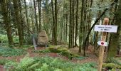 Percorso Marcia Vecoux - circuit vecoux depuis Parking les coucherons passant par 5 chalets - Photo 7