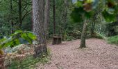 Trail On foot Schloß Holte-Stukenbrock - Romantisches Furlbachtal - Photo 5