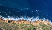 Randonnée Marche Cassis - Pas de la Colle - Falaises Soubeyranes - Sémaphore du Bec de l'Aigle - Anse de Figuerolles - Parc Mugel - La Ciotat - Photo 16