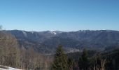 Tour Wandern Sewen - Sewen chalet du Graber - Photo 11