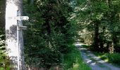 Trail On foot Pfalzgrafenweiler - Tour 3 Nordic Walking Weiler Wald - Photo 4