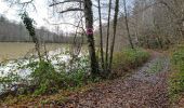 Tocht Stappen Villedômer - Villedomer - Étang de l'Arche - Photo 18