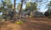 Excursión Senderismo Fontainebleau - Sentier Denecourt 7 - Photo 16