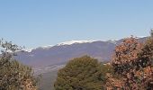 Tour Wandern Les Mées - DABICE Chapelle S Honorat , Jas des Aires , Jas des Dourbes  , Chateau au Levin , la Baume , o n - Photo 9