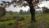 Percorso A piedi Beekdaelen - Schepenroute - Photo 2