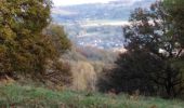 Tocht Stappen Luik - liège - angleur  - Photo 16