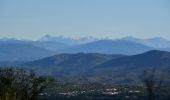 Tocht Stappen Roquebrune-sur-Argens - La Bergerie - Piste des Clapiers - Bastide Abbe - Photo 1