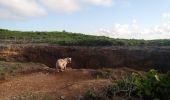 Randonnée Marche Anse-Bertrand - Trou du Souffleur - Trou de Madame Coco - Photo 6